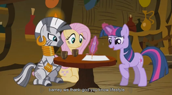 Size: 853x470 | Tagged: safe, screencap, fluttershy, twilight sparkle, zecora, zebra, g4, barney, tea, youtube caption