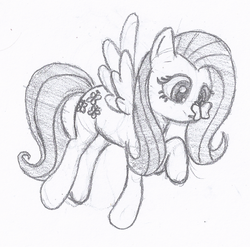 Size: 740x731 | Tagged: safe, fluttershy, pegasus, pony, g4, grayscale, monochrome, simple background, traditional art, white background