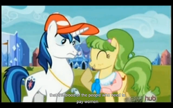 Size: 1024x640 | Tagged: safe, screencap, chickadee, ms. peachbottom, shining armor, g4, games ponies play, youtube caption