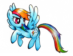 Size: 612x470 | Tagged: safe, artist:lal, artist:ラル, rainbow dash, pony, g4, female, pixiv, solo