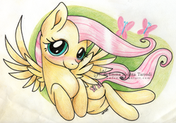 Size: 1024x717 | Tagged: safe, artist:emfen, fluttershy, pegasus, pony, g4, female, solo, traditional art