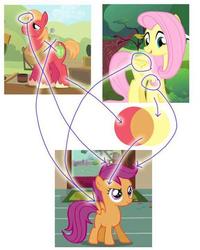 Size: 500x625 | Tagged: safe, big macintosh, fluttershy, scootaloo, earth pony, pony, g4, graveyard of comments, male, ship:fluttermac, shipping, stallion, straight, theory