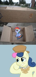 Size: 829x1766 | Tagged: safe, bon bon, rainbow dash, sweetie drops, earth pony, pegasus, pony, fanfic:my little dashie, g4, condescending bonbon, condescending wonka, dashie meme, evil people finding dash meme, exploitable meme, meme, ponified meme, roald dahl, willy wonka, willy wonka and the chocolate factory