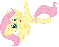 Size: 2700x2180 | Tagged: safe, artist:transparentpony, fluttershy, pegasus, pony, g4, belly, belly tickling, female, invisible tickles, laughing, lying down, on back, simple background, solo, tears of laughter, transparent background