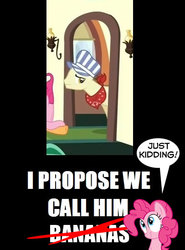 Size: 406x548 | Tagged: safe, pinkie pie, g4, conductor, fourth wall, image macro