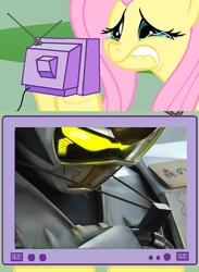 Size: 960x1314 | Tagged: safe, fluttershy, g4, beet j. stag, exploitable meme, fluttercry, go-busters, super sentai, tv meme