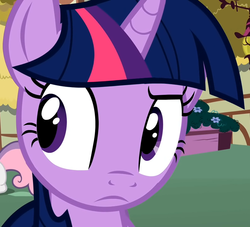 Size: 791x719 | Tagged: safe, twilight sparkle, g4, close-up, reaction image