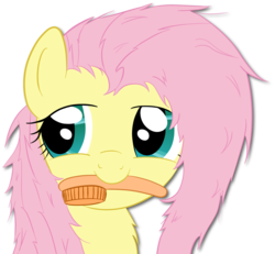 Size: 1004x928 | Tagged: safe, artist:o-fluttershy-o, fluttershy, pony, g4, brush, female, solo