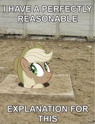 Size: 501x654 | Tagged: safe, applejack, g4, hole, image macro, liar face, liarjack, photo