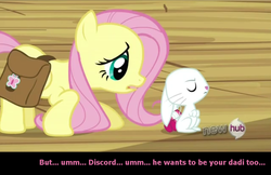 Size: 993x645 | Tagged: safe, edit, edited screencap, screencap, angel bunny, fluttershy, pegasus, pony, rabbit, g4, animal, bag, caption, crouching, duo, female, fluttershy's cottage, folded wings, indoors, mare, saddle bag, text, wings