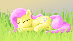 Size: 1920x1080 | Tagged: safe, artist:odooee, fluttershy, g4, sleeping