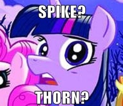 Size: 382x329 | Tagged: safe, idw, spike, twilight sparkle, g4, nightmare who
