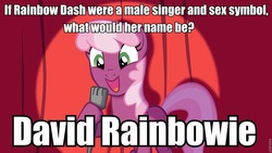 Size: 960x540 | Tagged: safe, cheerilee, rainbow dash, g4, cheerilee pun, david bowie, exploitable meme, image macro, meme