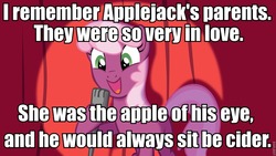 Size: 960x540 | Tagged: safe, applejack, cheerilee, g4, applejack's parents, cheerilee pun, exploitable meme, meme, pun