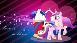 Size: 1600x900 | Tagged: safe, artist:hatsunepie, princess cadance, shining armor, g4, concave belly, heart, slender, text, thin, vector, wallpaper