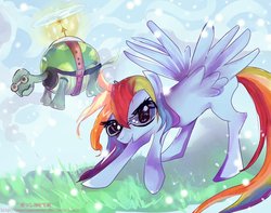 Size: 1007x793 | Tagged: safe, artist:passionatestar, rainbow dash, tank, g4, goggles