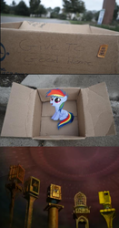 Size: 616x1180 | Tagged: safe, rainbow dash, pegasus, pony, fanfic:my little dashie, g4, allied mastercomputer, crossover, dashie meme, evil people finding dash meme, exploitable meme, filly, i have no mouth and i must scream