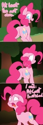 Size: 1095x3150 | Tagged: safe, artist:crade, pinkie pie, g4, ask, clone, pinkie pie the second, tumblr
