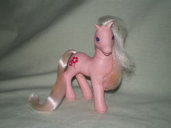 Size: 640x480 | Tagged: safe, photographer:lancer, nightglow, earth pony, pony, g2, female, irl, mare, photo, solo, tail, toy
