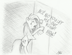 Size: 3202x2435 | Tagged: safe, artist:moonlightfl, pinkie pie, earth pony, pony, g4, crying, dialogue, door, female, open mouth, pinkamena diane pie, solo, talking