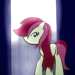 Size: 800x800 | Tagged: safe, artist:why485, roseluck, earth pony, pony, g4, female, looking at you, mare, solo