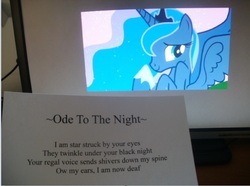 Size: 643x479 | Tagged: safe, princess luna, pony, g4, female, irl, otaku date, photo, poem, solo, waifu dinner