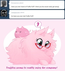 Size: 600x659 | Tagged: safe, artist:peachiekeenie, oc, oc only, oc:fluffle puff, pig, pony, ask plumsweet, ask, glasses
