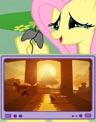 Size: 400x508 | Tagged: safe, fluttershy, g4, exploitable meme, fluttercry, happy fluttercry, journey, meme, tears of joy, tv meme, video game