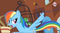 Size: 855x477 | Tagged: safe, screencap, gummy, rainbow dash, alligator, pegasus, pony, g4, magical mystery cure, animation error, cage, female, hub logo, logo, mare, the hub, what my cutie mark is telling me, wing hands