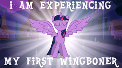 Size: 660x371 | Tagged: safe, edit, edited screencap, screencap, twilight sparkle, alicorn, pony, g4, magical mystery cure, eyes closed, female, image macro, mare, spread wings, twilight sparkle (alicorn), wingboner, wings