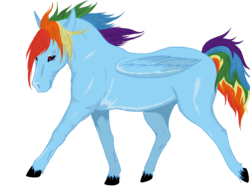 Size: 1800x1350 | Tagged: safe, artist:osirisanimus, rainbow dash, g4, realistic