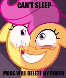 Size: 260x308 | Tagged: safe, scootaloo, g4, sleepless in ponyville, bloodshot eyes, image macro