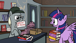 Size: 1024x577 | Tagged: safe, artist:fimflamfilosophy, twilight sparkle, oc, alicorn, pony, g4, alicorn day, barnes&noble, book store, female, mare, twilight sparkle (alicorn)