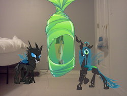 Size: 2048x1536 | Tagged: safe, queen chrysalis, changeling, changeling queen, human, g4, clothes, cocoon, female, irl, irl human, male, photo, ponies in real life