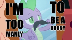 Size: 640x360 | Tagged: safe, spike, g4, anti-brony, hater, image macro, irony, manliness, mirror, moustache, proud