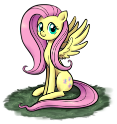 Size: 446x475 | Tagged: safe, artist:sleepykoinu, fluttershy, pegasus, pony, g4, cute, female, grass, looking at you, mare, shyabetes, simple background, sitting, smiling, solo, spread wings, transparent background, wings