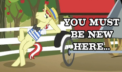 Size: 439x260 | Tagged: safe, edit, edited screencap, screencap, flim, earth pony, pony, g4, the super speedy cider squeezy 6000, bipedal, bipedal leaning, cart, image macro, leaning, male, meme, solo, super speedy cider squeezy 6000, you must be new here