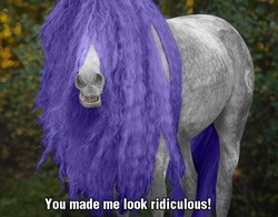 Size: 733x575 | Tagged: safe, rarity, horse, bridle gossip, g4, hairity, hoers, irl, irl horse, photo, recolored hoers