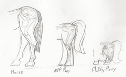 Size: 1116x679 | Tagged: safe, artist:fluffsplosion, fluffy pony, horse, pony, anatomy, comparison