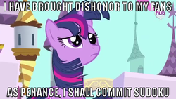 Size: 640x360 | Tagged: safe, twilight sparkle, g4, commit sudoku, image macro, sad, sudoku