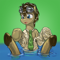 Size: 500x500 | Tagged: safe, artist:saturnspace, doctor whooves, time turner, g4, clothes, necktie, unshorn fetlocks, wet, wet necktie