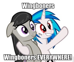 Size: 692x580 | Tagged: safe, dj pon-3, octavia melody, vinyl scratch, g4, magical mystery cure, image macro, wingboner, x x everywhere