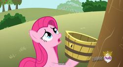 Size: 851x468 | Tagged: safe, screencap, pinkie pie, g4, magical mystery cure, hub logo, pinkamena diane pie, youtube caption