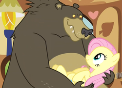 Size: 1190x865 | Tagged: safe, screencap, fluttershy, harry, bear, g4, magical mystery cure