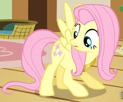 Size: 805x670 | Tagged: safe, screencap, fluttershy, g4, magical mystery cure