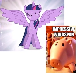 Size: 900x855 | Tagged: safe, edit, edited screencap, screencap, twilight sparkle, alicorn, pony, g4, games ponies play, magical mystery cure, disney, female, hamm, image macro, mare, piggy bank, pixar, toy story, twilight sparkle (alicorn)