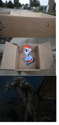 Size: 1392x2960 | Tagged: safe, rainbow dash, kaiju, pegasus, pony, fanfic:my little dashie, g4, dashie meme, evil people finding dash meme, exploitable meme, godzilla (series), king ghidorah, meme