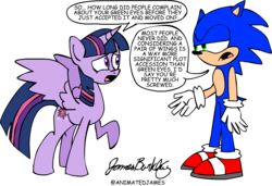 Size: 4000x2737 | Tagged: safe, artist:animatedjames, twilight sparkle, alicorn, pony, g4, alicorn drama, comic sans, crossover, drama, fandumb, female, male, mare, sonic the hedgehog, sonic the hedgehog (series), twilight sparkle (alicorn)