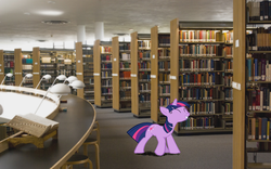 Size: 1680x1050 | Tagged: safe, artist:faron123123, twilight sparkle, g4, book, library, ponies in real life