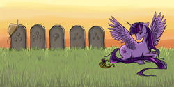 Size: 1000x500 | Tagged: safe, artist:hungrylen, twilight sparkle, alicorn, pony, g4, female, grave, immortality blues, mare, twilight sparkle (alicorn), twilight will outlive her friends